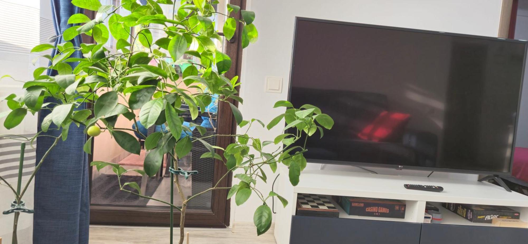 Littlebig Apartment Bucureşti Ngoại thất bức ảnh